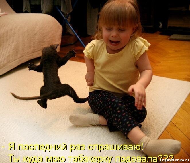 Эти забавные животные