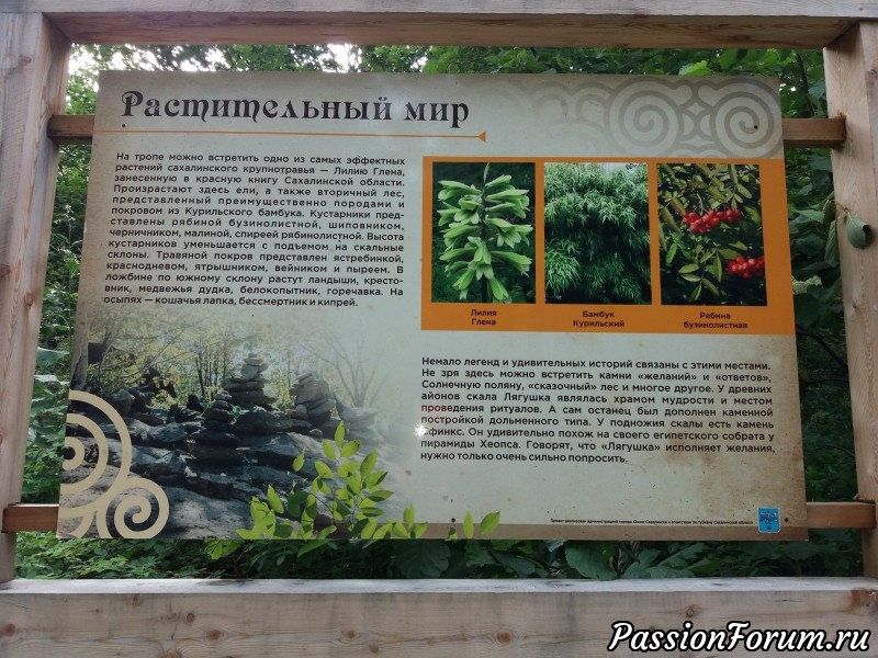 Поход на останец Лягушка на Сахалине.