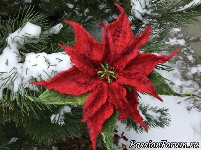 Новогодние валяшки. Poinsettia. Брошь.