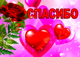 17august.gif