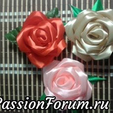 Розы на любой вкус