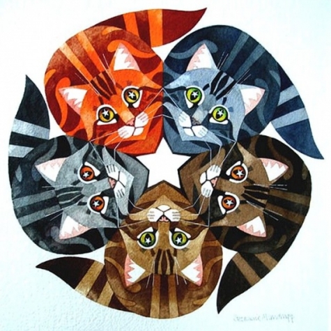 Коты