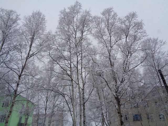 Утренняя сказка
