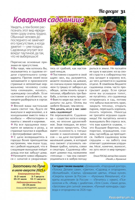 Коллекция кулинарных рецептов в журнале «Сваты. Заготовки №7 2025»