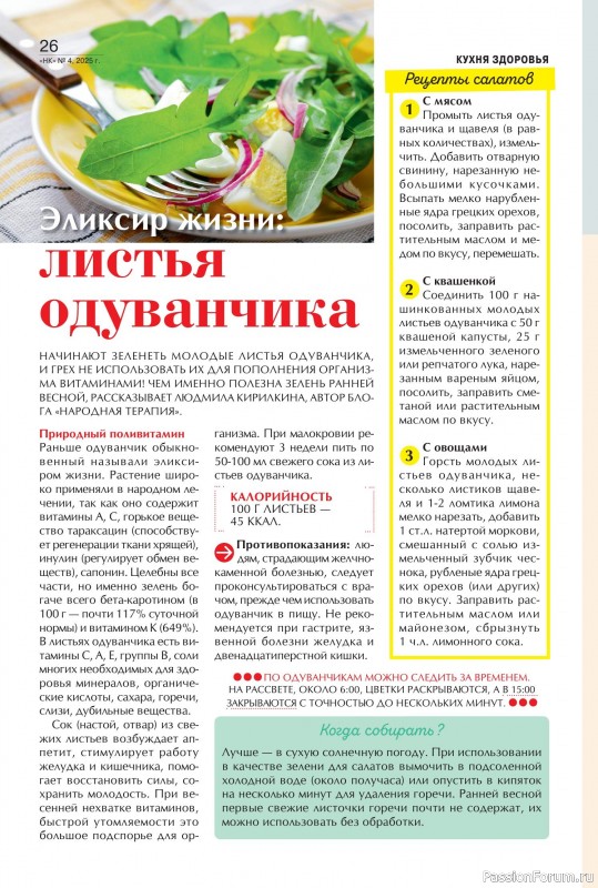 Коллекция кулинарных рецептов в журнале «Наша кухня №4 2025»