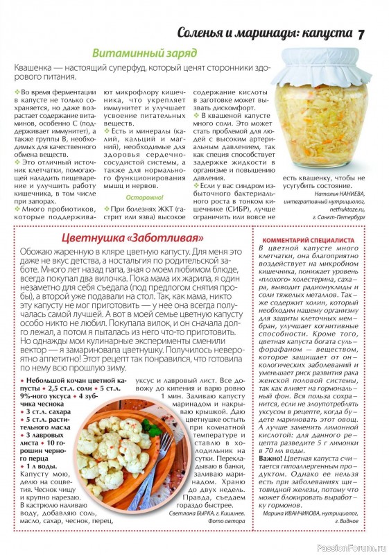 Коллекция кулинарных рецептов в журнале «Сваты. Заготовки №11 2024»