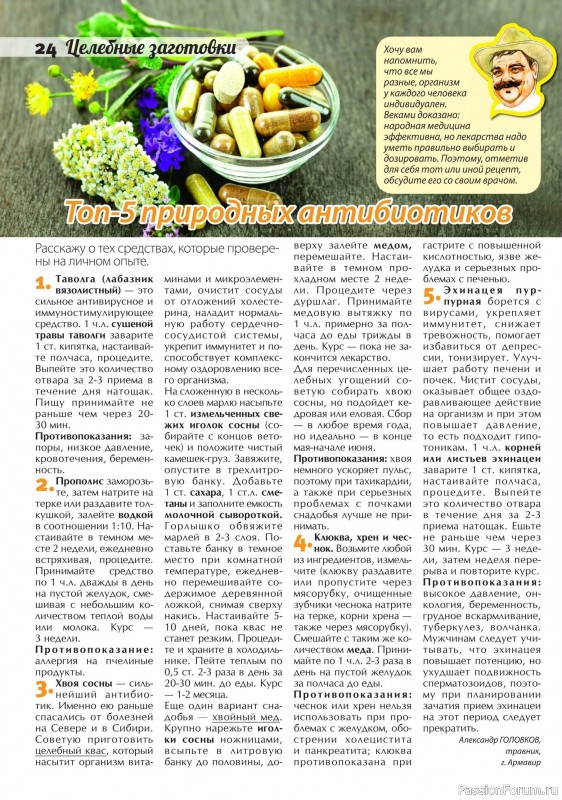 Коллекция кулинарных рецептов в журнале «Сваты. Заготовки №11 2024»