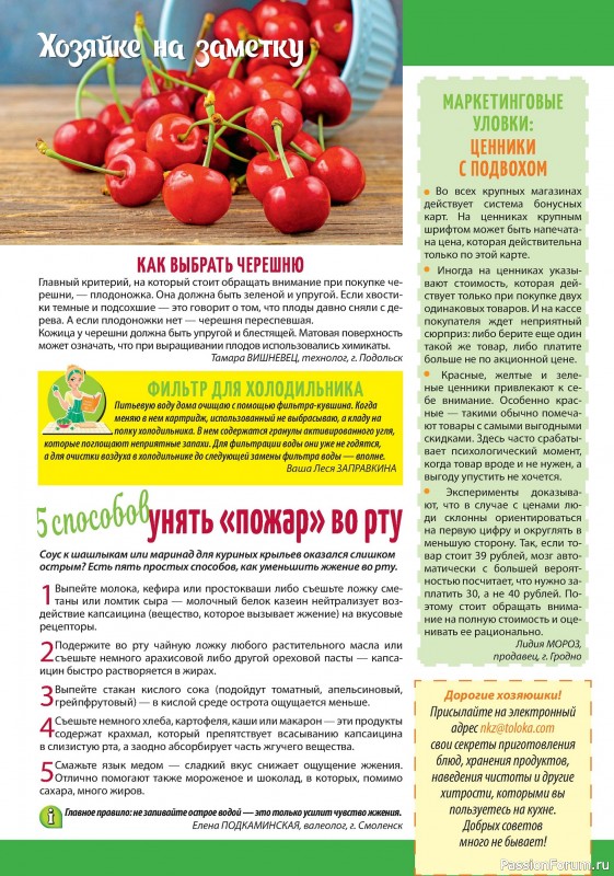 Коллекция кулинарных рецептов в журнале «Наша кухня Салаты и Закуски №5 2024»