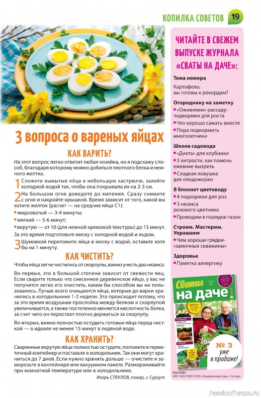 Коллекция кулинарных рецептов в журнале «Салат Салатыч №3 2025»