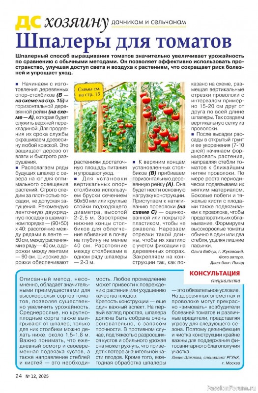 Коллекция проектов для рукодельниц в журнале «Делаем сами №12 2025»