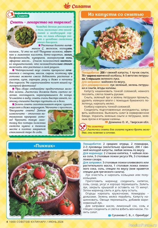 Коллекция кулинарных рецептов в журнале «1000 советов кулинару №6 2024»