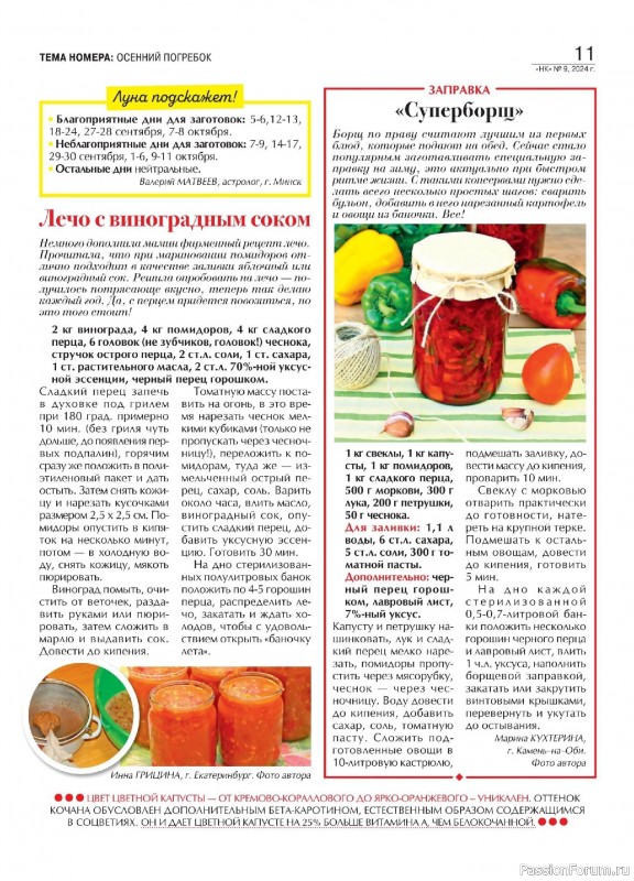 Коллекция кулинарных рецептов в журнале «Наша кухня №9 2024»