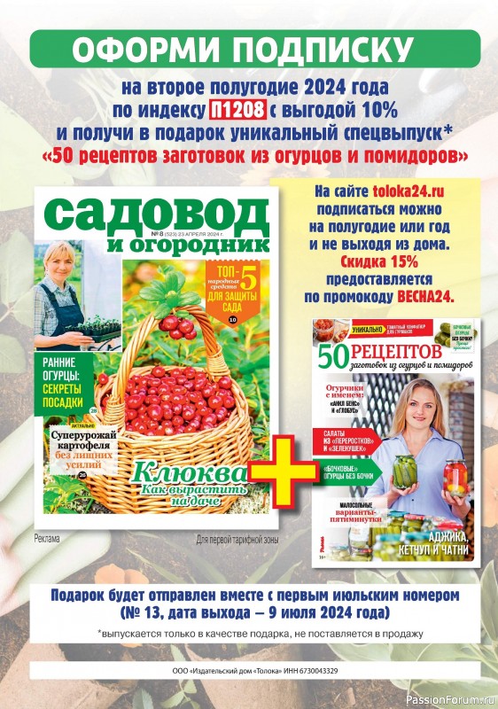 Коллекция кулинарных рецептов в журнале «Наша кухня Салаты и Закуски №4 2024»