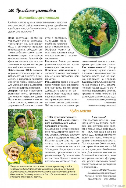 Коллекция кулинарных рецептов в журнале «Сваты. Заготовки №7 2025»