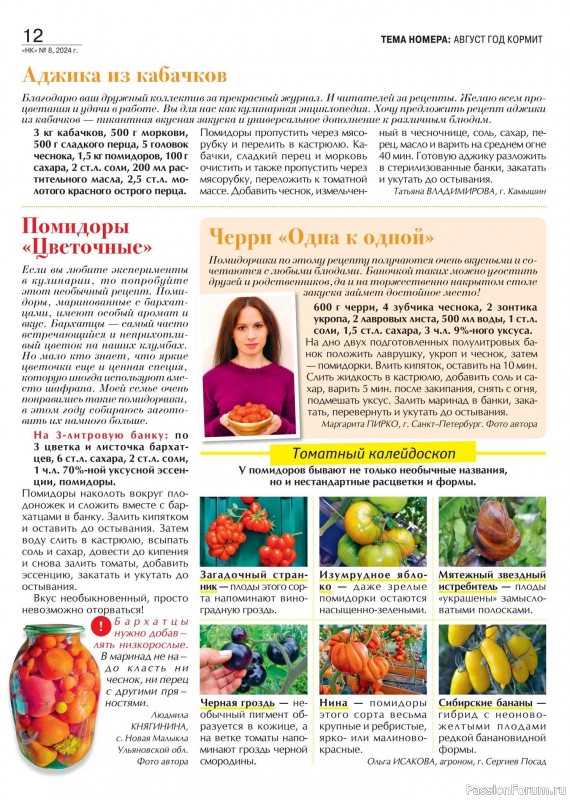 Коллекция кулинарных рецептов в журнале «Наша кухня №7 2024»