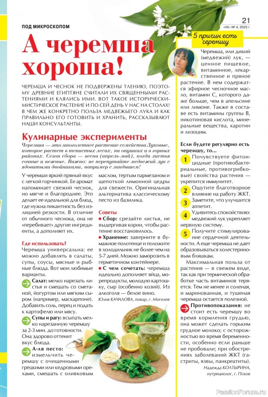 Коллекция кулинарных рецептов в журнале «Наша кухня №4 2025»