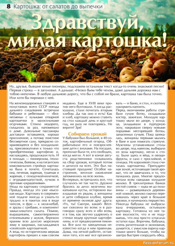 Коллекция кулинарных рецептов в журнале «Сваты на кухне №9 2024»