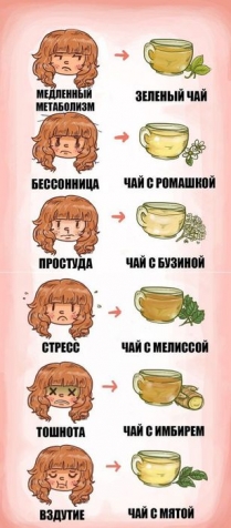В любой непонятной ситуации пей чай.