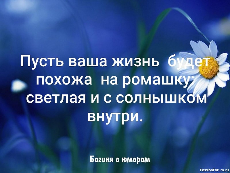 Ободок &quot;Ромашка&quot;