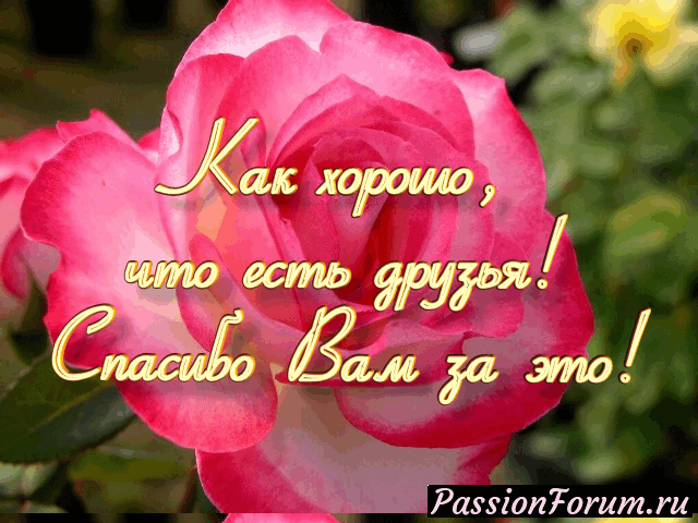 Всех благодарю