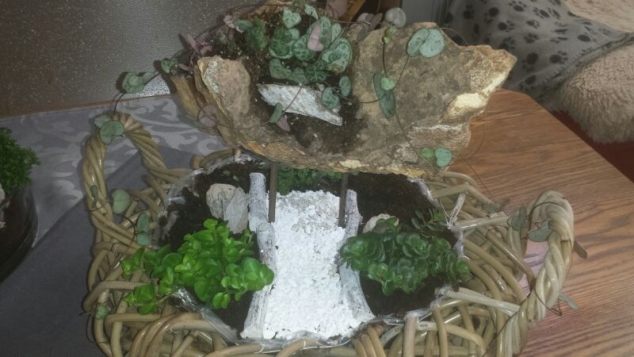 Мои мини сады.