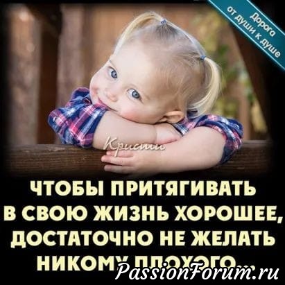 &quot;Жизнь Софи&quot; Софи встречает гостей