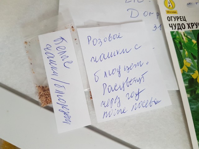 08.08 День рождения пришёл!!!!!