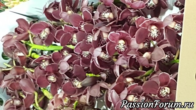 Не верится, что прошёл год (часть вторая)