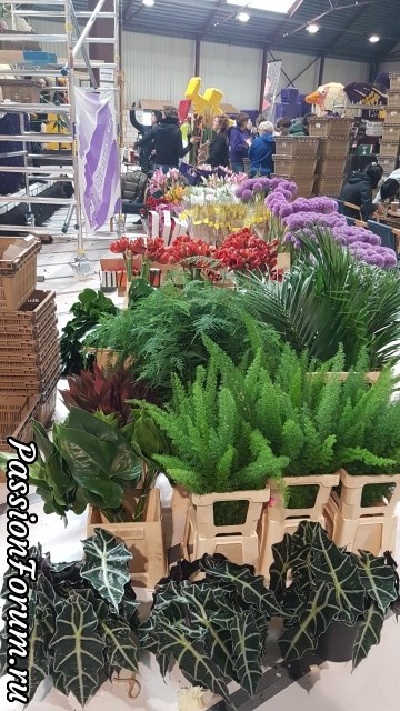 Не верится, что прошёл год (часть вторая)