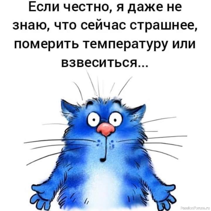 Черногория - дружеская встреча