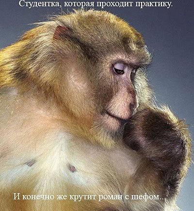 Офисный коллектив