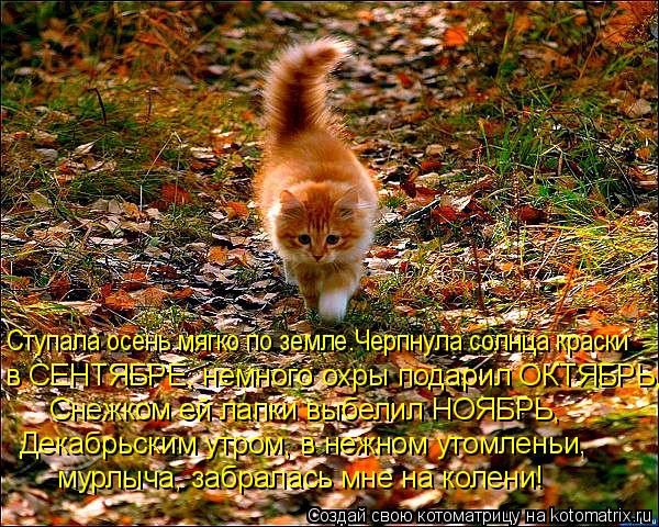 Поздравляю всех-всех сентябринок с ДНЕМ РОЖДЕНЬЯ!