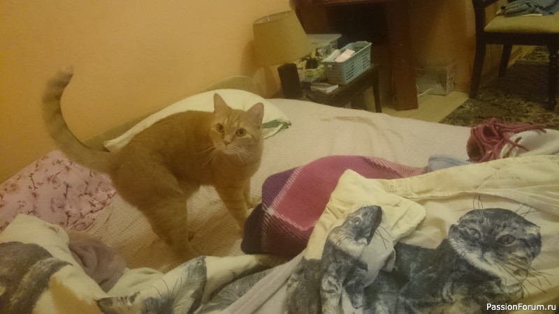 Мой дизайн квартиры