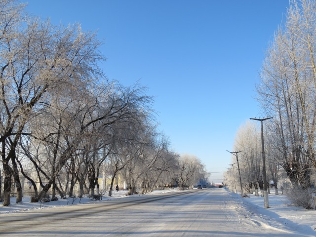 Немного снежности для Пиноккио (Лидия( Мурзилка)