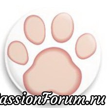 Кошки не похожи на людей.