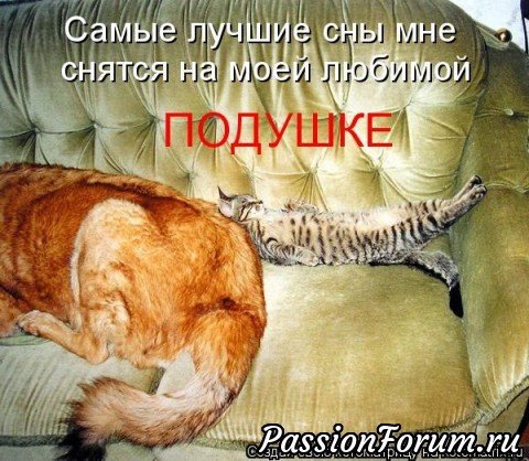 Как кошка с собакой?...