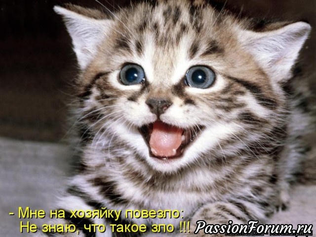 КОТЭ-МИЛАШКИ