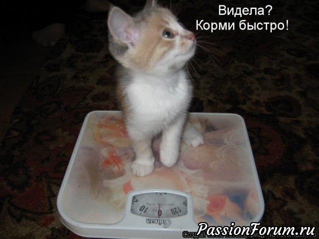 КОТЭ-МИЛАШКИ