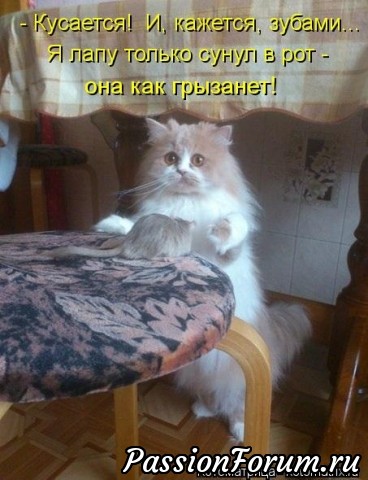 КОТЭ-МИЛАШКИ