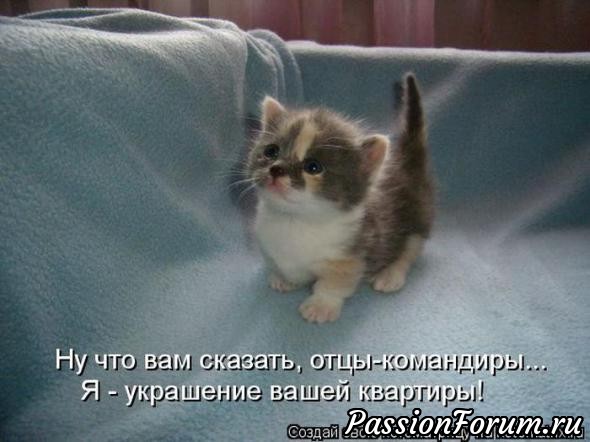 КОТЭ-МИЛАШКИ