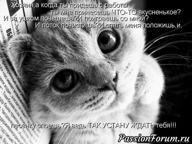 КОТЭ-МИЛАШКИ