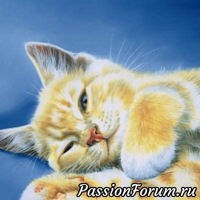 КОТЭ-МИЛАШКИ