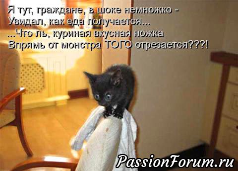 КОТЭ-МИЛАШКИ