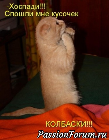 КОТЭ-МИЛАШКИ