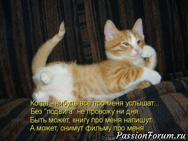 КОТЭ-МИЛАШКИ