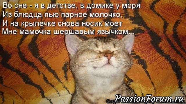 КОТЭ-МИЛАШКИ