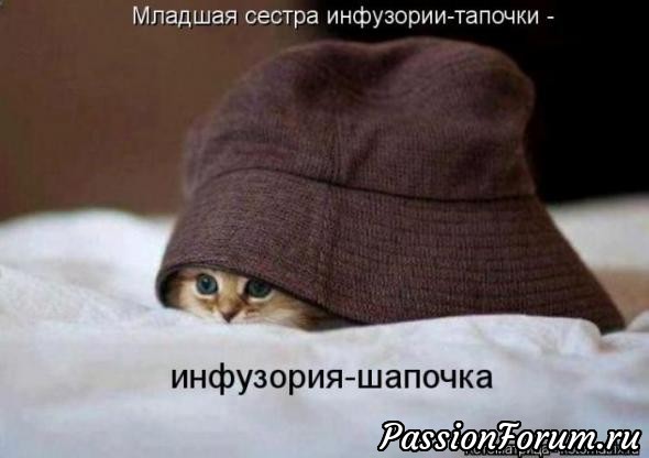 КОТЭ-МИЛАШКИ