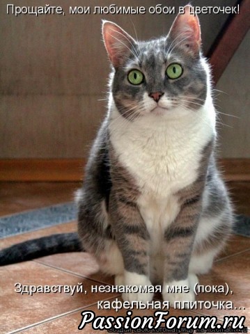 КОТЭ-МИЛАШКИ