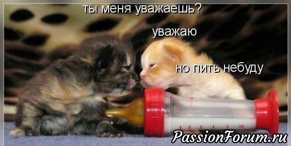КОТЭ-МИЛАШКИ