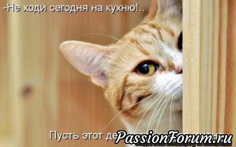 КОТЭ-МИЛАШКИ